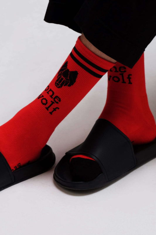 CITY MONK socks