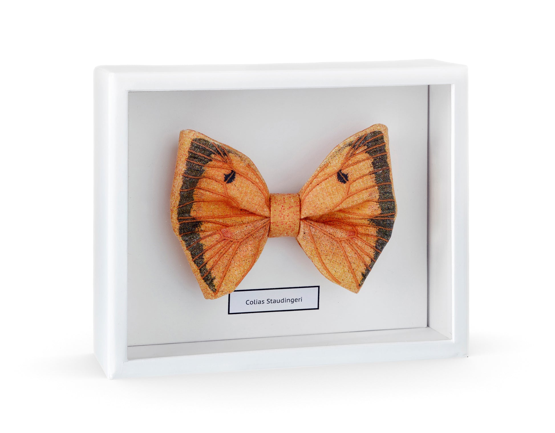 COLIAS STAUDINGERI bow tie - One Wolf