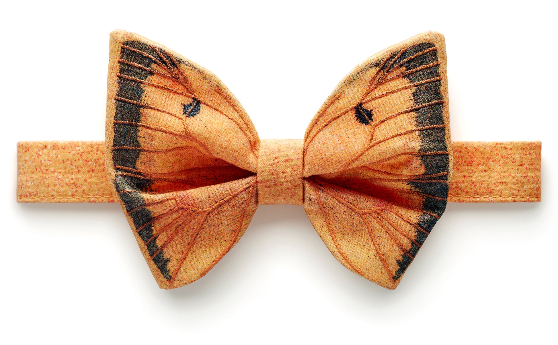 COLIAS STAUDINGERI bow tie - One Wolf