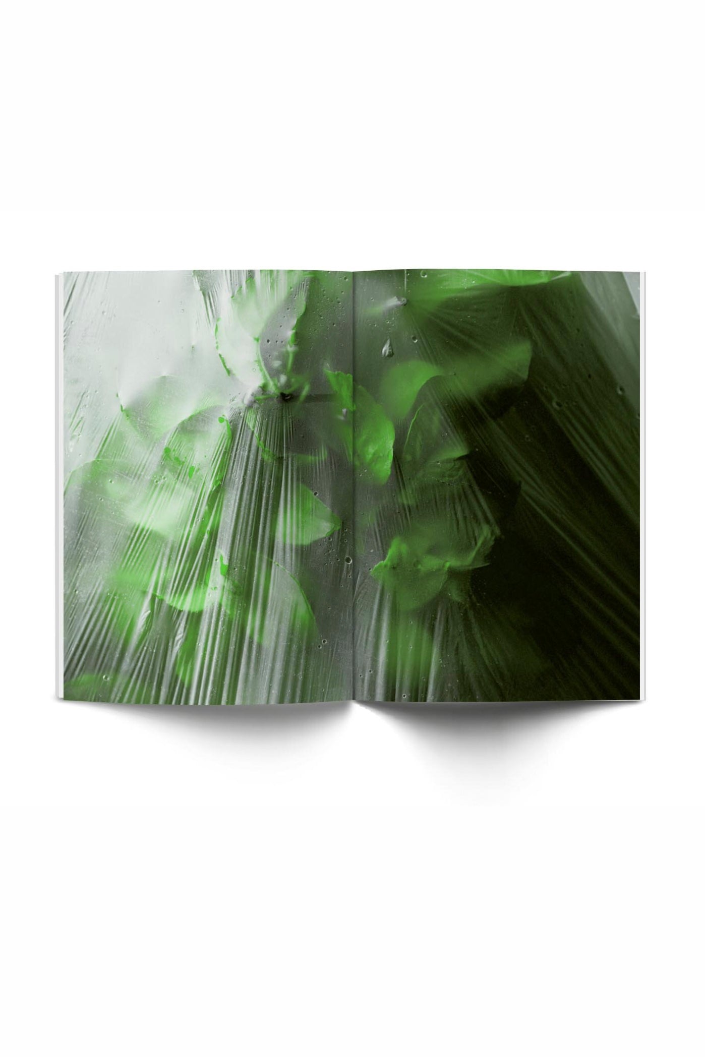 SINDROMS MAG Green issue